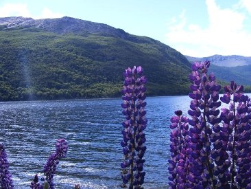 lago-fagnano